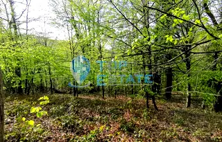 Парцел в Габрово, с. Боженците