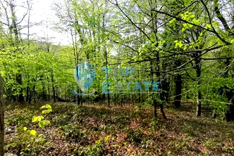 Парцел в Габрово, с. Боженците