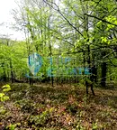 Парцел в Габрово, с. Боженците