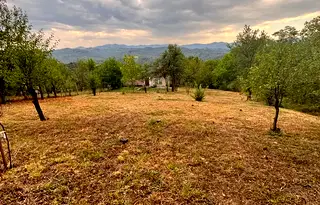 Парцел в Габрово, с. Борики