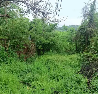 Photo 5 — Plot in Gabrovo, Buchukovci