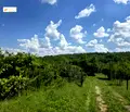 Снимка 3 — Парцел в Габрово, с. Длъгня
