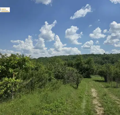 Photo 3 — Plot in Oblast Gabrovo, Dlygnya
