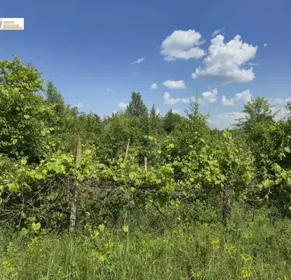 Photo 4 — Plot in Oblast Gabrovo, Dlygnya