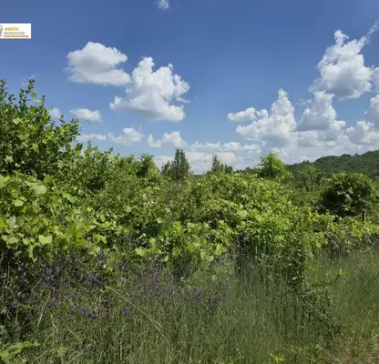 Photo 5 — Plot in Oblast Gabrovo, Dlygnya