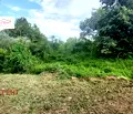 Снимка 4 — Парцел в Габрово, с. Драгиевци