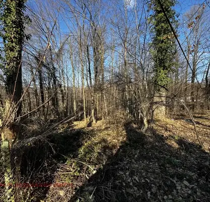 Photo 2 — Plot in Oblast Gabrovo, Garvan
