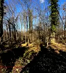 Парцел в Габрово, с. Гарван