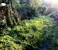Снимка 2 — Парцел в Габрово, с. Гергини