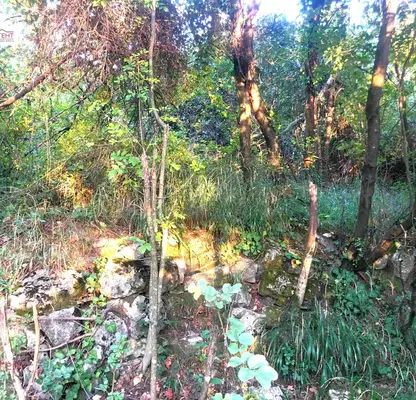 Photo 4 — Plot in Oblast Gabrovo, Gergini