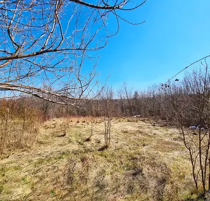 Снимка 2 — Парцел в Габрово, с. Големи Българени