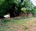 Снимка 2 — Парцел в Габрово, с. Гостилица