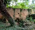 Снимка 4 — Парцел в Габрово, с. Гостилица