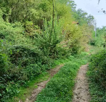 Снимка 2 — Парцел в Габрово, с. Йововци