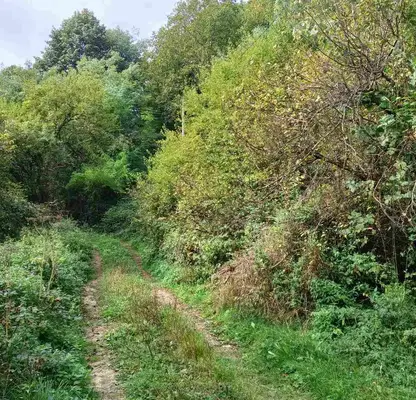 Снимка 3 — Парцел в Габрово, с. Йововци