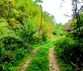 Снимка 4 — Парцел в Габрово, с. Йововци