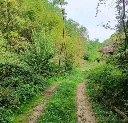 Снимка 4 — Парцел в Габрово, с. Йововци