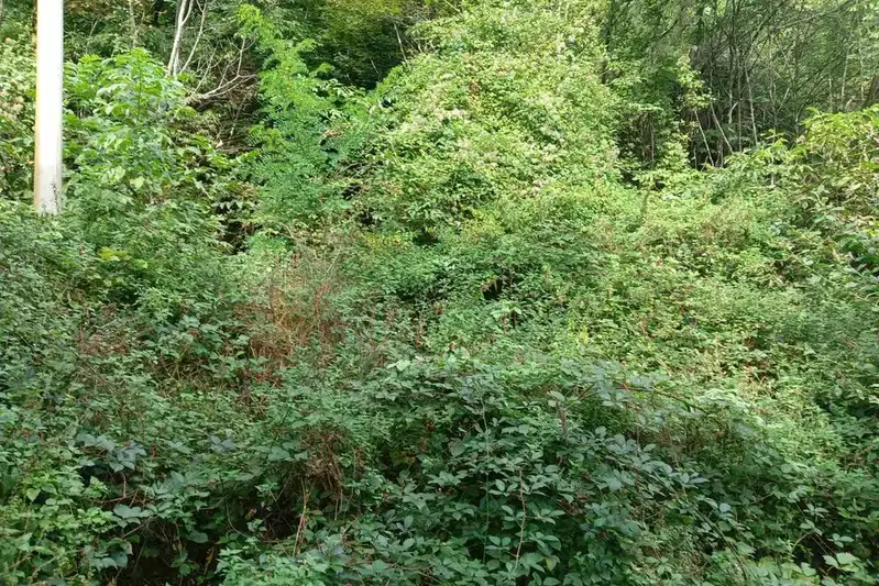 Парцел в Габрово, с. Йововци