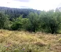 Снимка 5 — Парцел в Габрово, с. Жълтеш