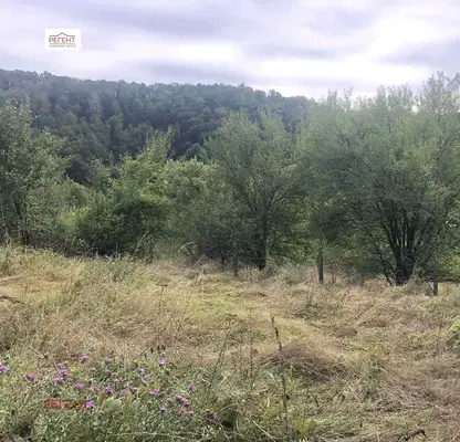 Photo 5 — Plot in Oblast Gabrovo, с. Жълтеш