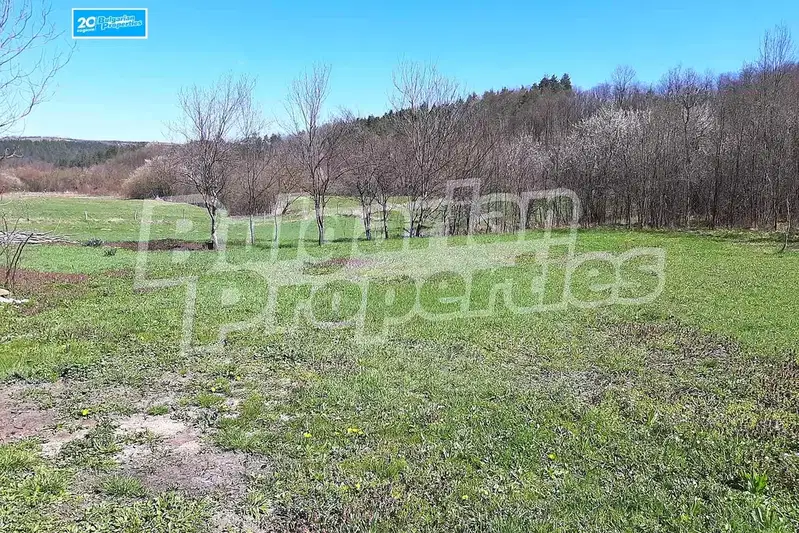 Plot in Oblast Gabrovo, Kameshtica