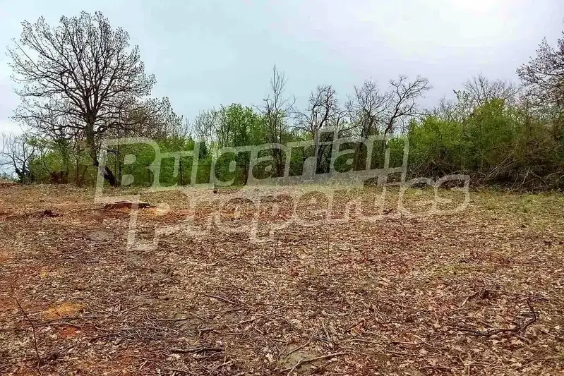 Plot in Oblast Gabrovo, Kereka