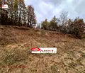 Снимка 4 — Парцел в Габрово, с. Киевци