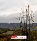 Парцел в Габрово, с. Киевци