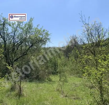 Снимка 2 — Парцел в Габрово, с. Косарка