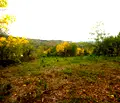 Снимка 4 — Парцел в Габрово, с. Костенковци