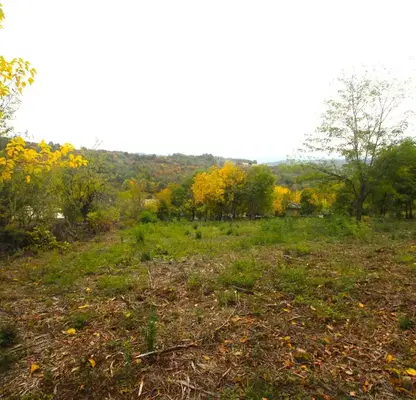 Photo 4 — Plot in Oblast Gabrovo, Kostenkovci