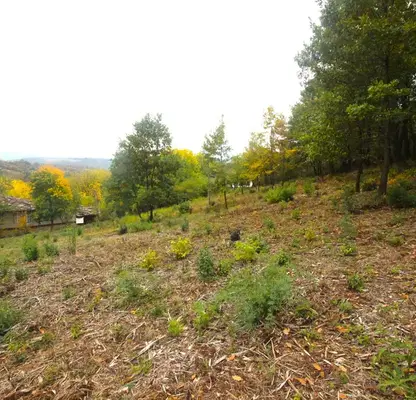 Photo 5 — Plot in Oblast Gabrovo, Kostenkovci