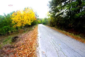 Парцел в Габрово, с. Костенковци