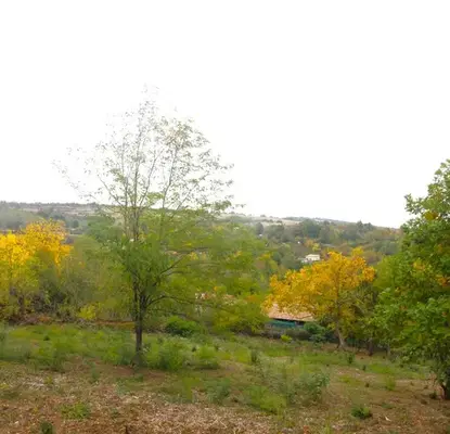 Photo 2 — Plot in Oblast Gabrovo, Kostenkovci