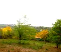 Снимка 3 — Парцел в Габрово, с. Костенковци