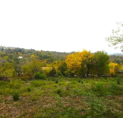 Снимка 5 — Парцел в Габрово, с. Костенковци