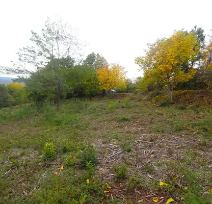 Photo 5 — Plot in Gabrovo, Kostenkovci