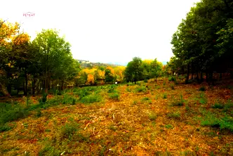 Парцел в Габрово, с. Костенковци