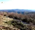 Снимка 2 — Парцел в Габрово, с. Костенковци