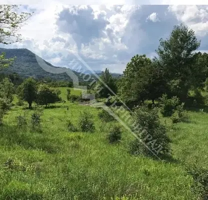 Снимка 3 — Парцел в Габрово, с. Кръвеник