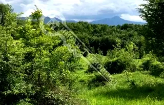 Парцел в Габрово, с. Кръвеник