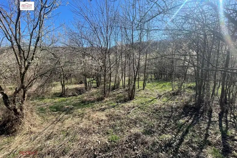 Plot in Oblast Gabrovo, Lesicharka