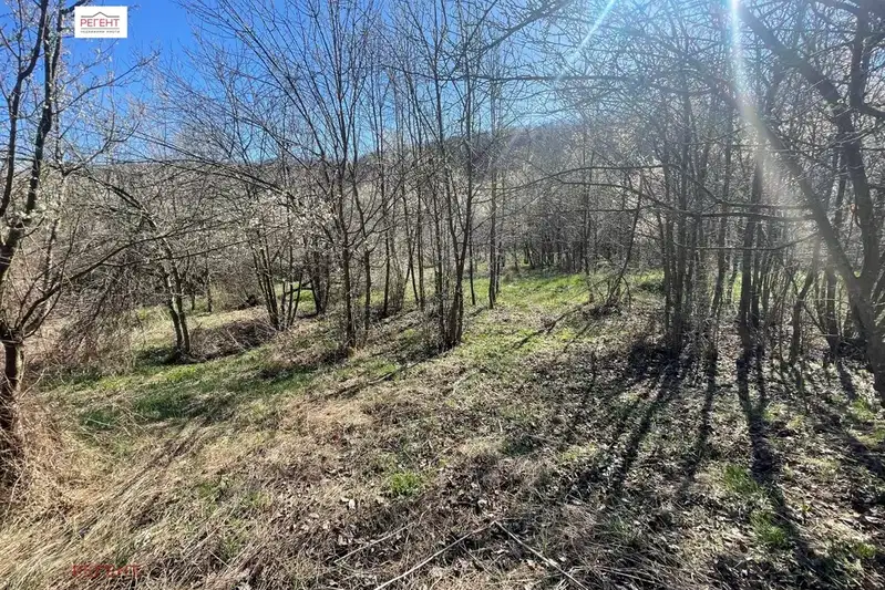 Plot in Oblast Gabrovo, Lesicharka