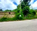 Снимка 4 — Парцел в Габрово, с. Маноя