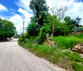 Снимка 5 — Парцел в Габрово, с. Маноя