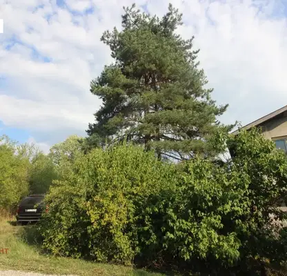 Photo 4 — Plot in Oblast Gabrovo, Milkovci