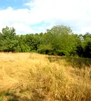 Парцел в Габрово, с. Милковци