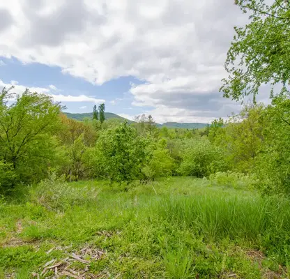 Снимка 5 — Парцел в Габрово, с. Поповци