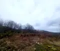 Снимка 2 — Парцел в Габрово, с. Радино