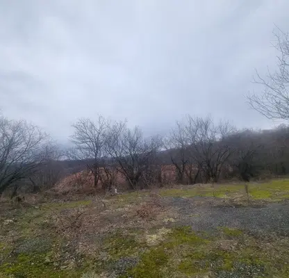 Photo 3 — Plot in Oblast Gabrovo, с. Радино